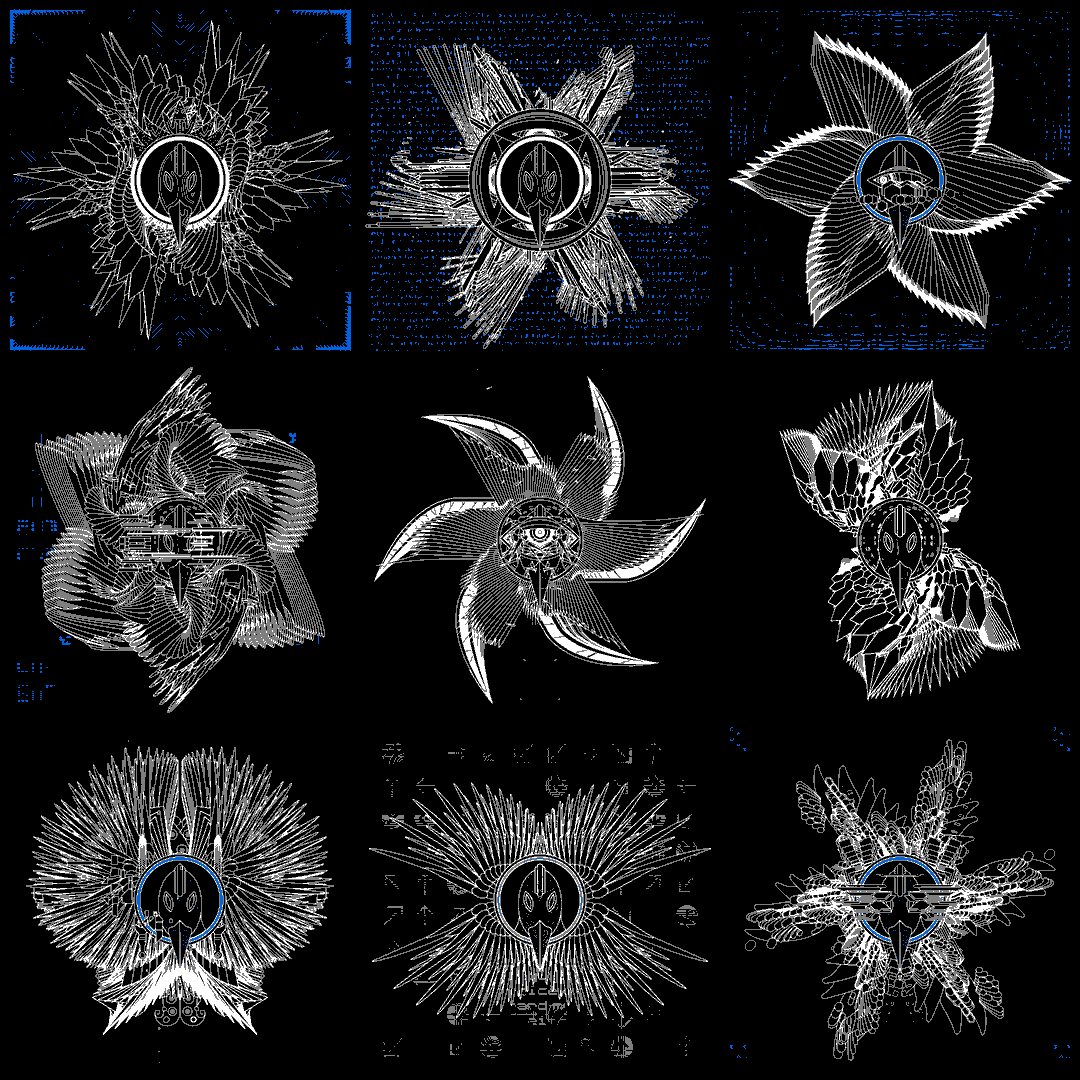 Falcon bird angels pack / 9 loops