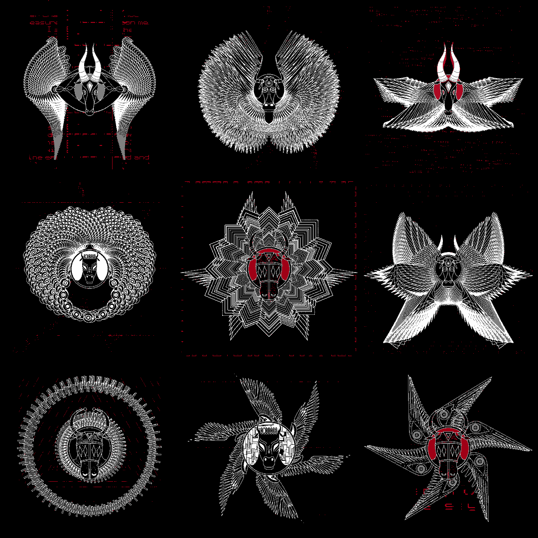 Prey bull angels pack / 9 loops