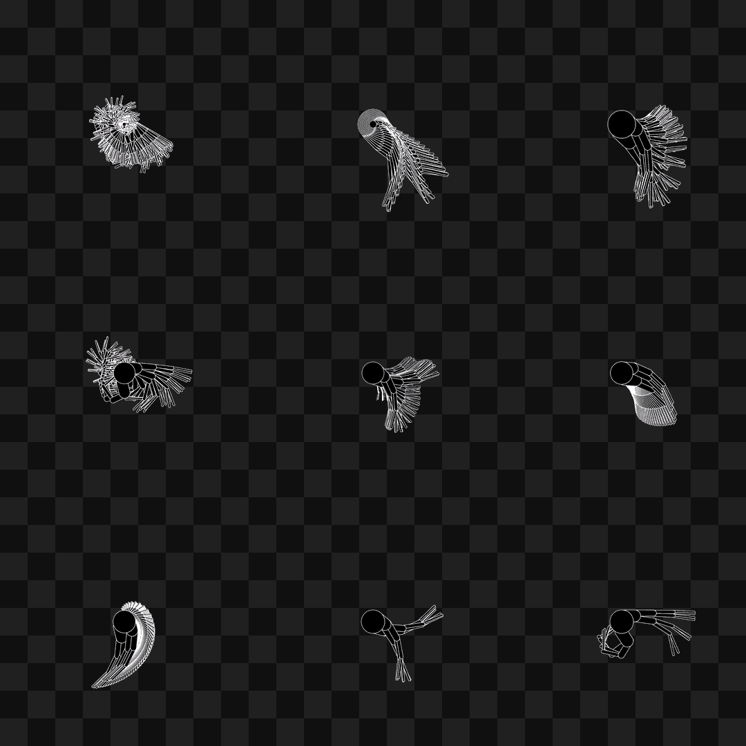 Round flap wing asset pack / 11 loops