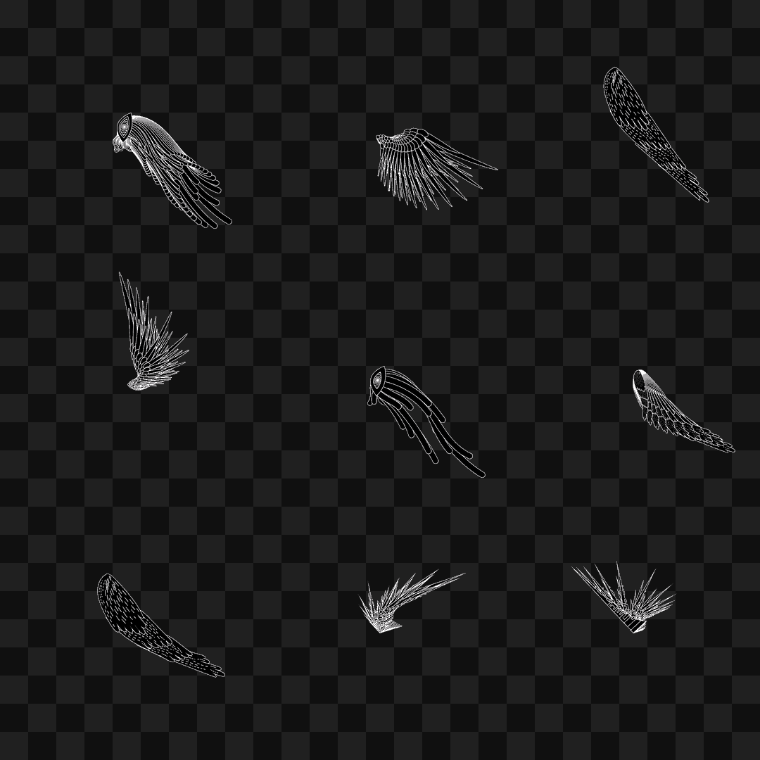 Swift flap wing asset pack / 9 loops