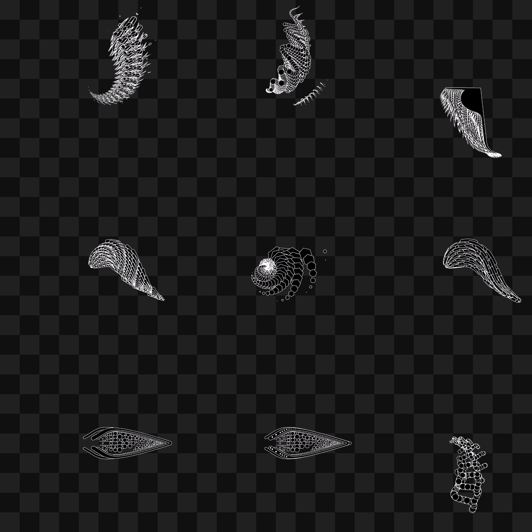 Particle frag wing asset pack / 30 loops
