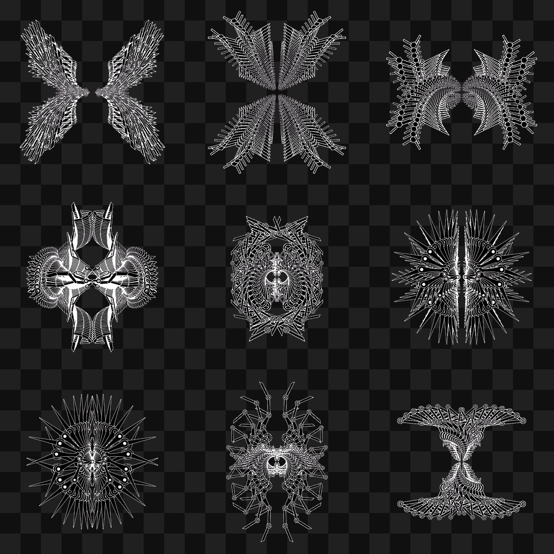 Sharp flap wingset asset pack / 10 loops