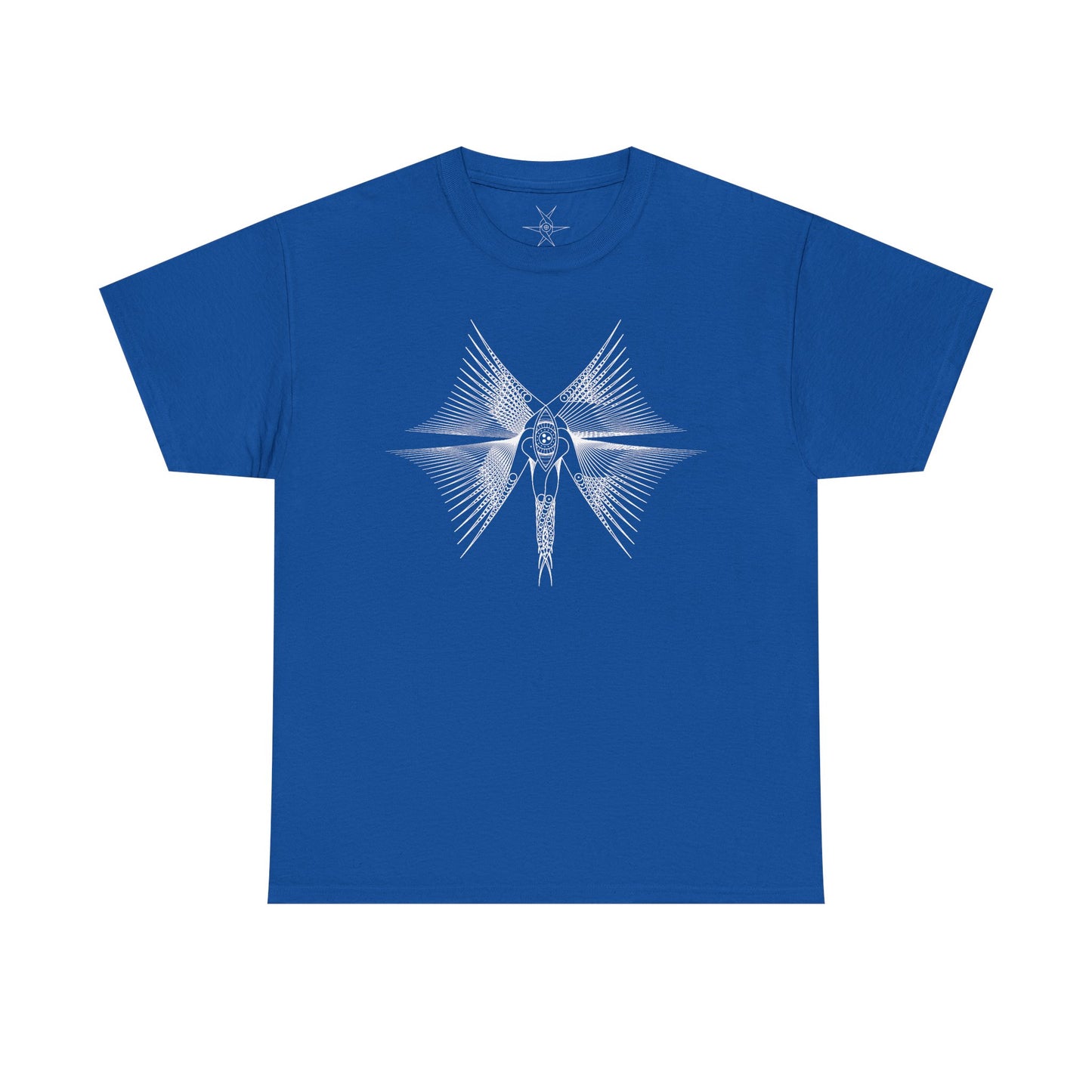 Angel of radiance / T-shirt (front)