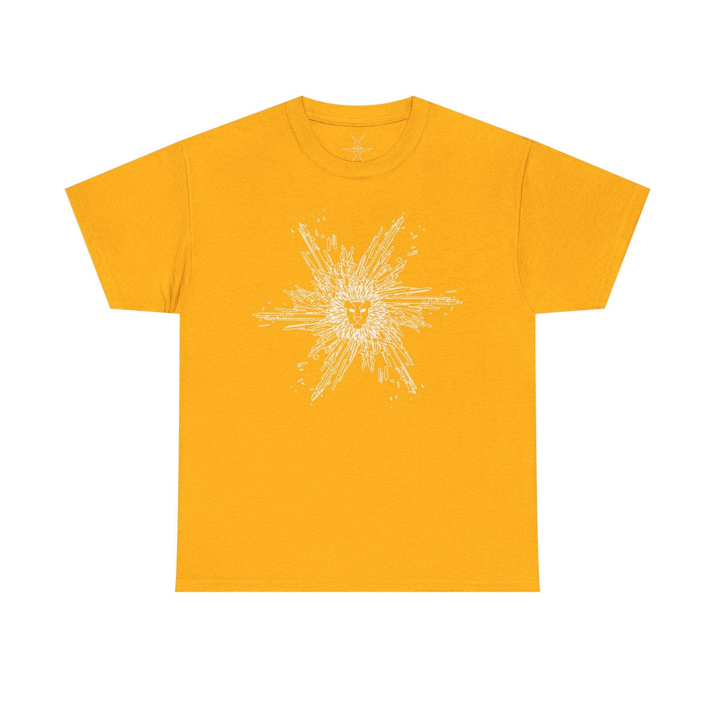 Angel of ritual / T-shirt (front)