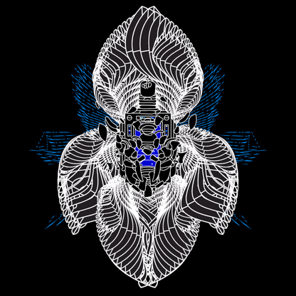 Start screen angels pack / 9 loops