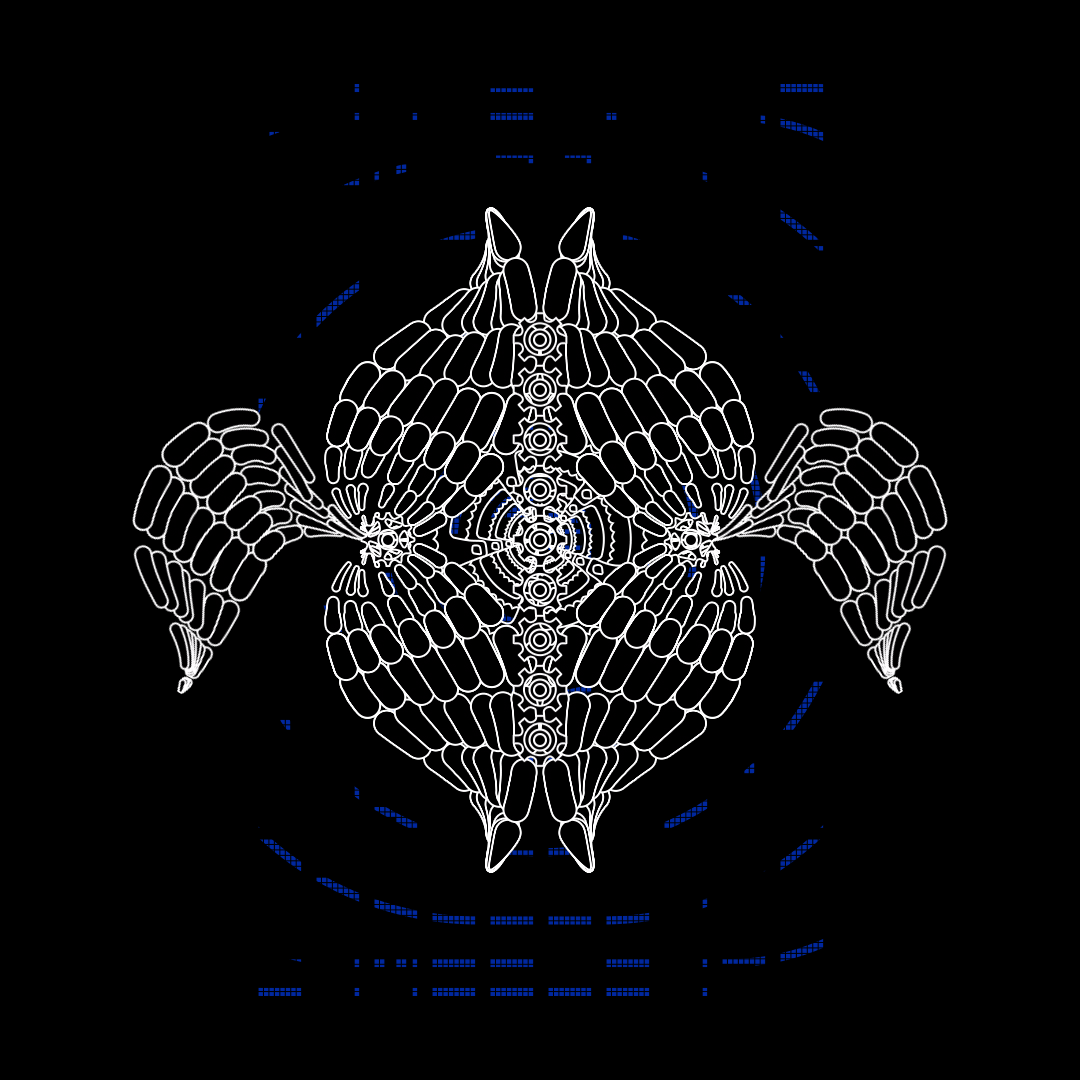 Wheel angels bundle / 7 packs / 63 loops