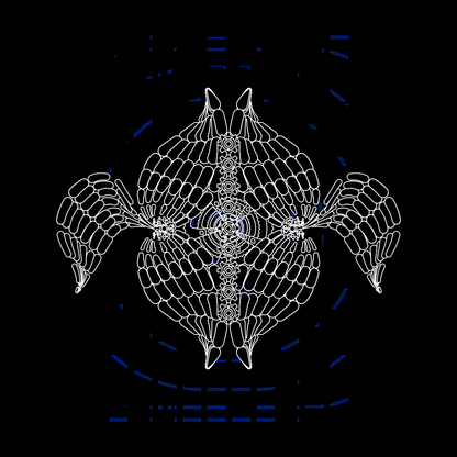 Wheel angels bundle / 7 packs / 63 loops