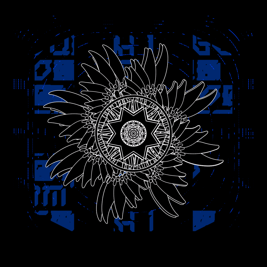 Wheel angels bundle / 7 packs / 63 loops