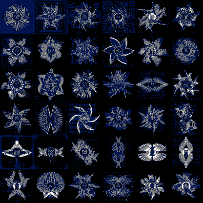 Bird angels bundle / 4 packs / 36 loops