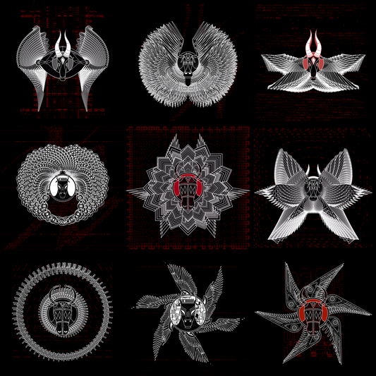 Prey bull angels pack / 9 loops