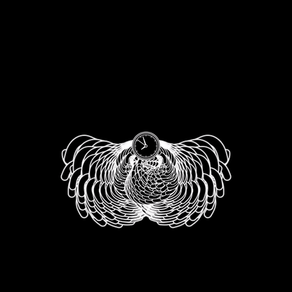 Matter angels bundle / 5 packs / 45 loops
