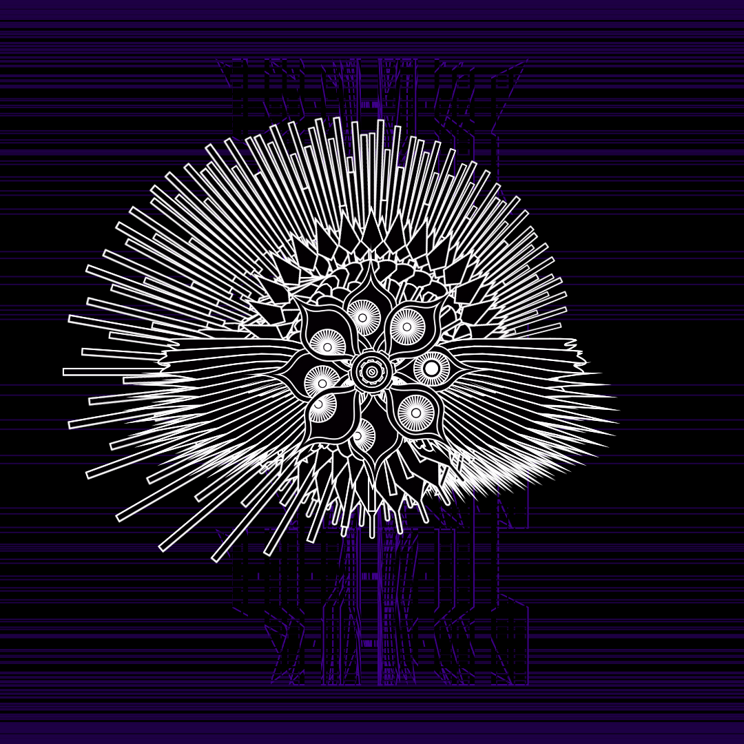 Eye angels bundle / 17 packs / 155 loops