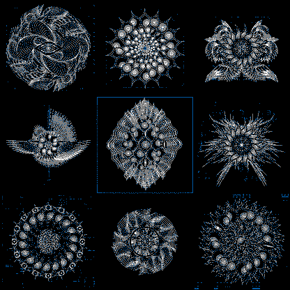 Blink eye angels pack / 9 loops