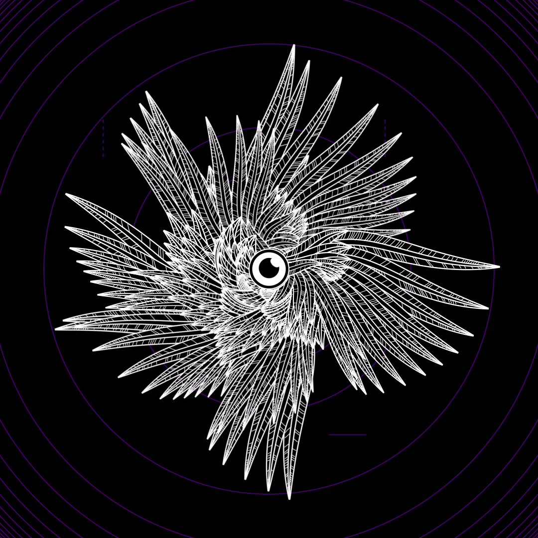 Eye angels bundle / 17 packs / 155 loops