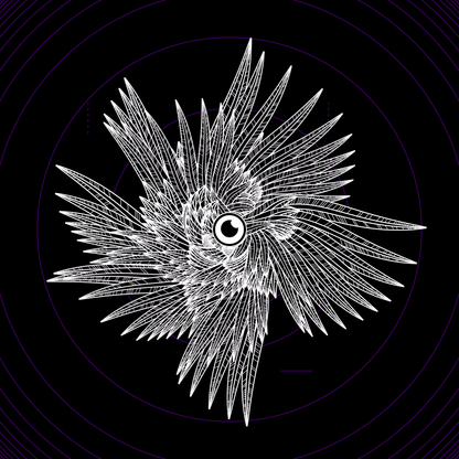 Eye angels bundle / 17 packs / 155 loops