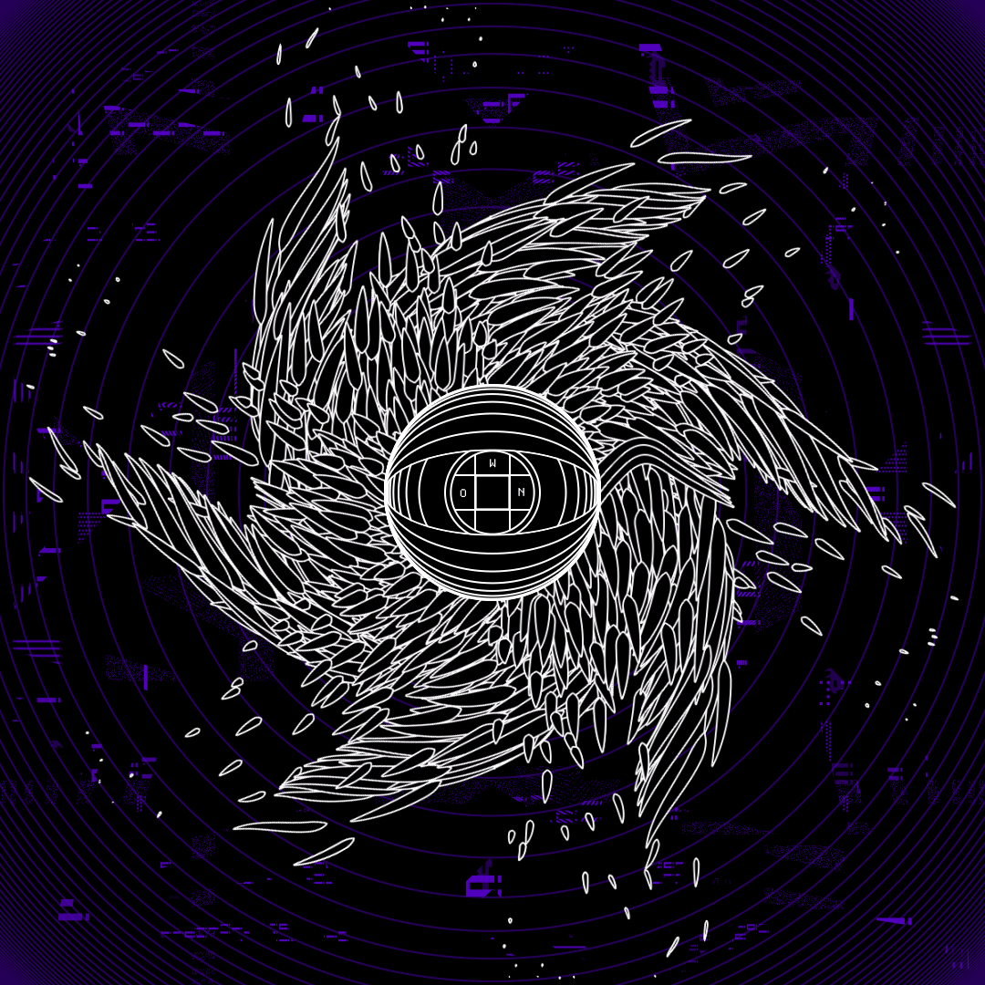 Eye angels bundle / 17 packs / 155 loops