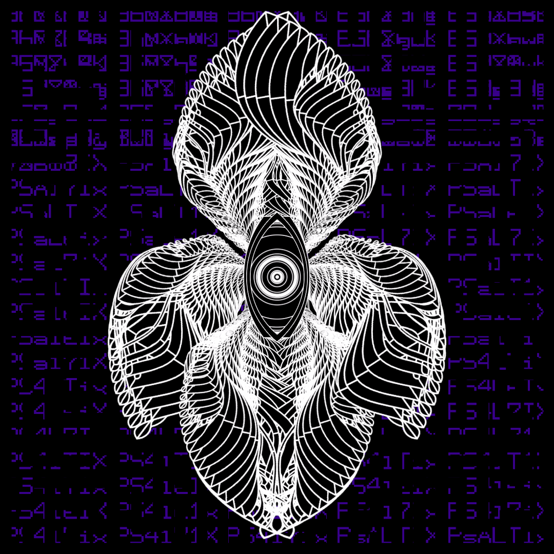 Eye angels bundle / 17 packs / 155 loops