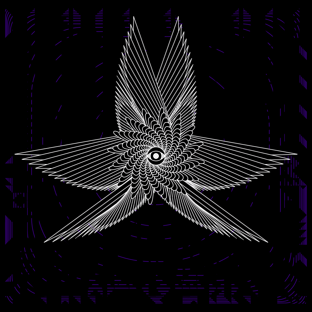 Eye angels bundle / 17 packs / 155 loops