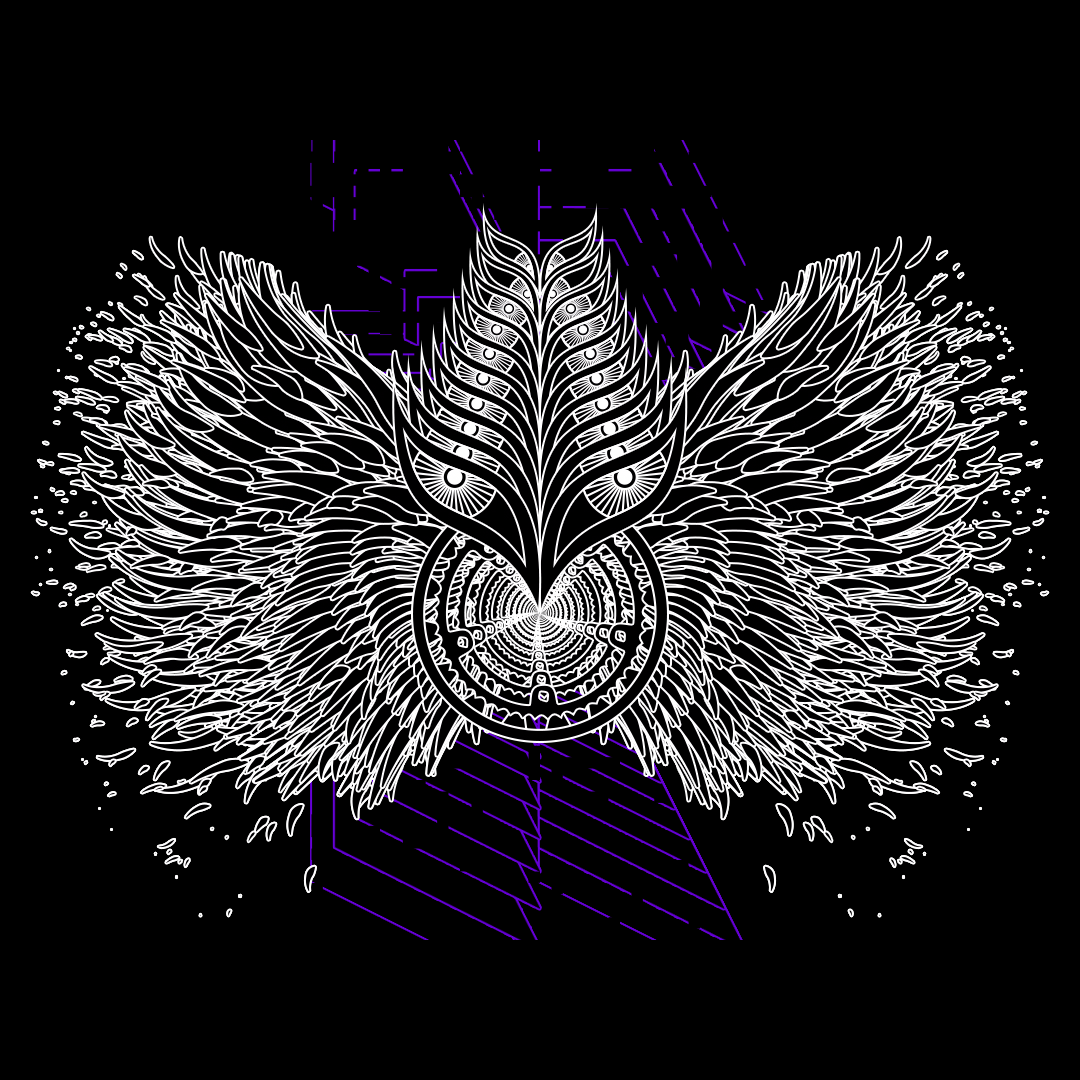 Eye angels bundle / 17 packs / 155 loops