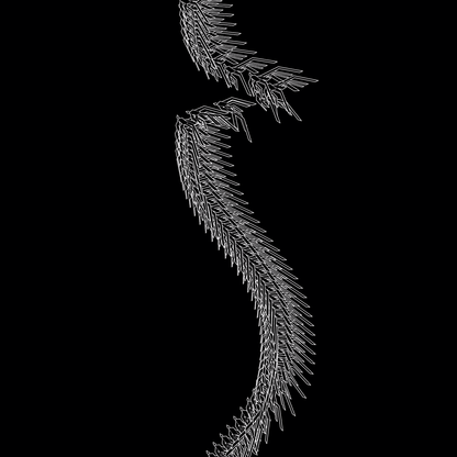 Strand asset pack / 66 loops