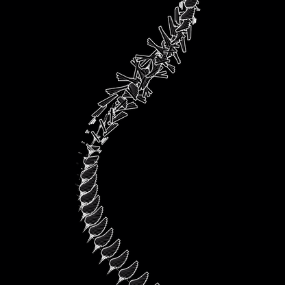 Strand asset pack / 66 loops