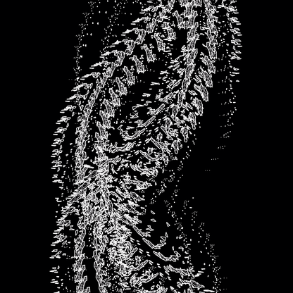 Strand asset pack / 66 loops