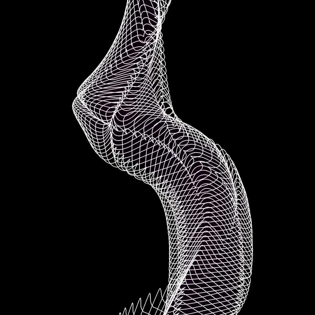 Strand asset pack / 66 loops