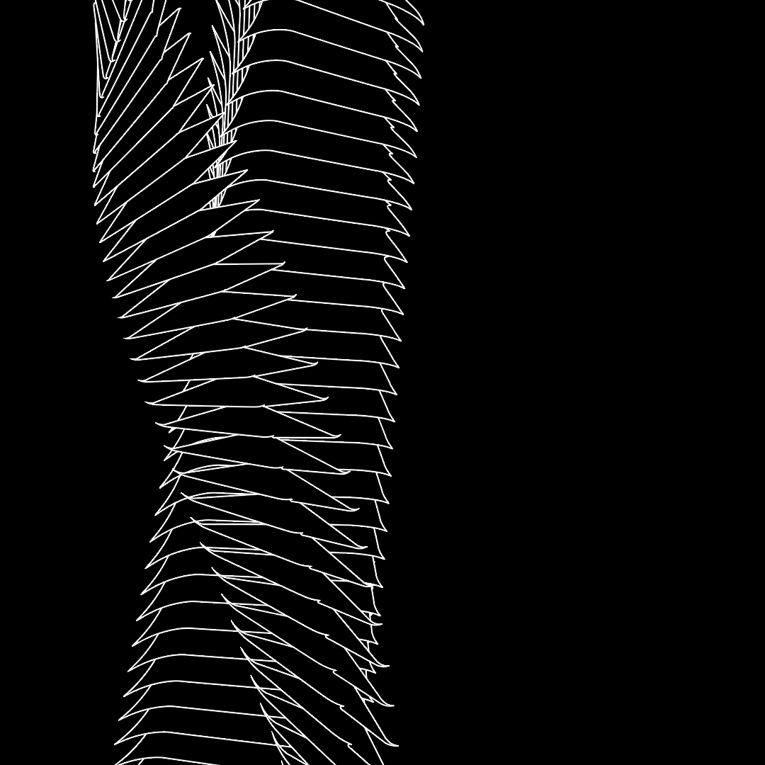 Strand asset pack / 66 loops