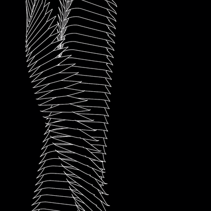 Strand asset pack / 66 loops