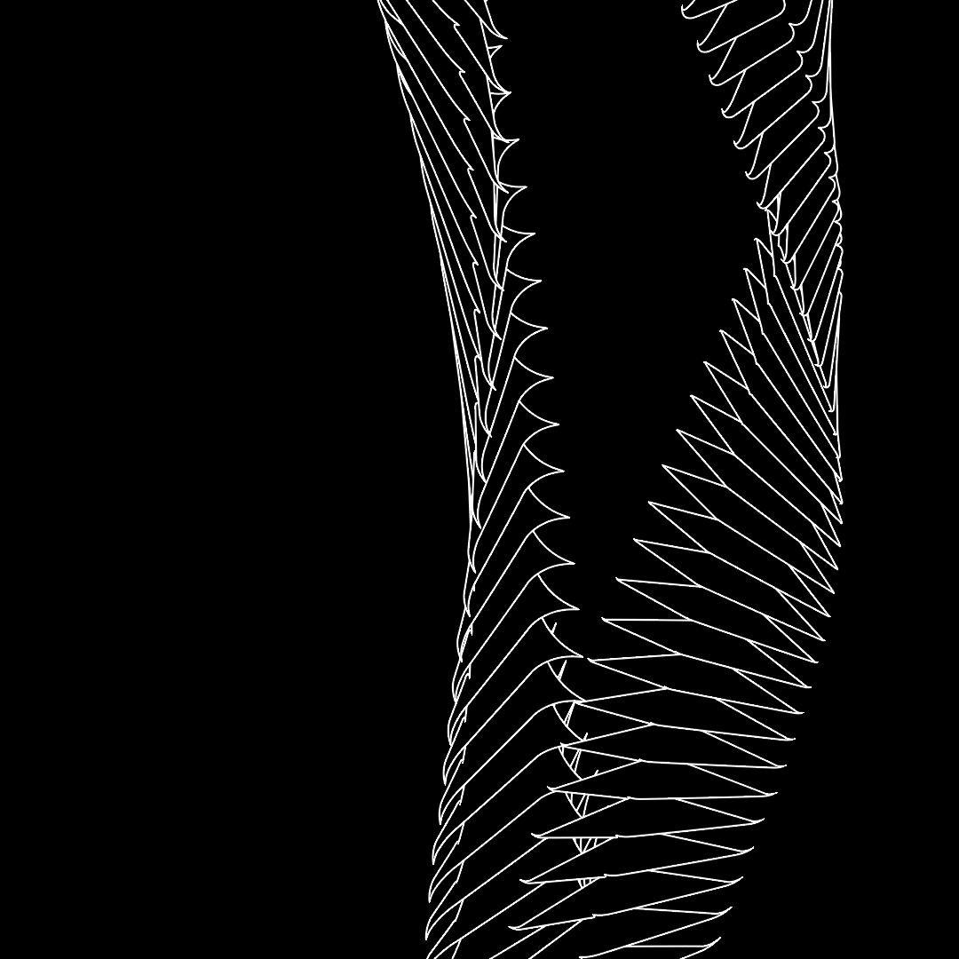 Strand asset pack / 66 loops