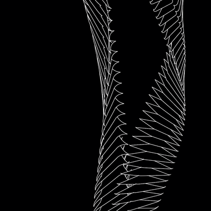 Strand asset pack / 66 loops