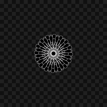 Shaper face asset pack / 26 loops