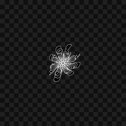 Shaper face asset pack / 26 loops