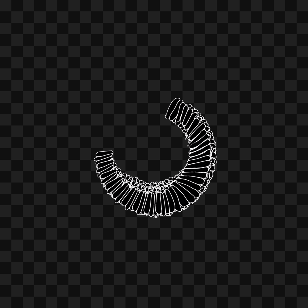 Spinnercore face asset pack / 57 loops
