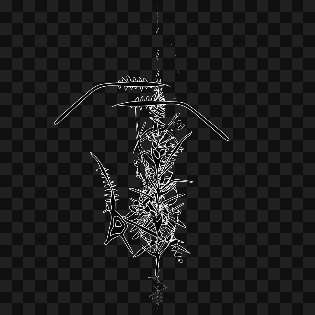 Vertical frag asset pack / 117 loops