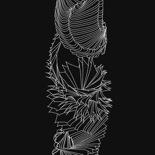 Strand asset pack / 66 loops