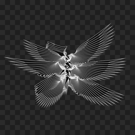 Gamma sym wingset asset pack / 11 loops