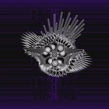 Eye angels bundle / 17 packs / 155 loops