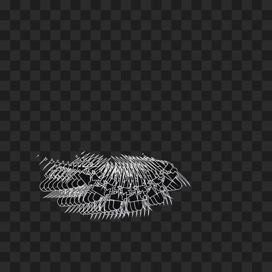 Organic frag wing asset pack / 19 loops
