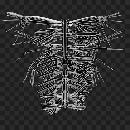 Kappa flap wingset asset pack / 12 loops