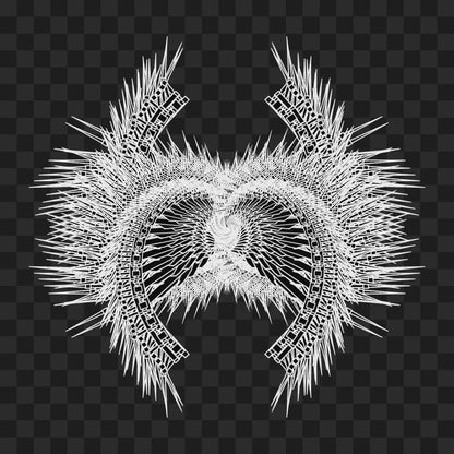 Beta flap wingset asset pack / 9 loops