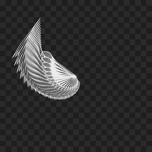 Warp wing asset pack / 31 loops