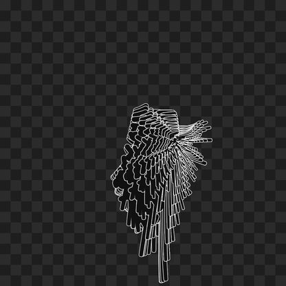 Smack flap wing asset pack / 6 loops
