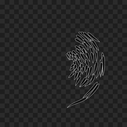 Feather flap wing asset pack / 8 loops