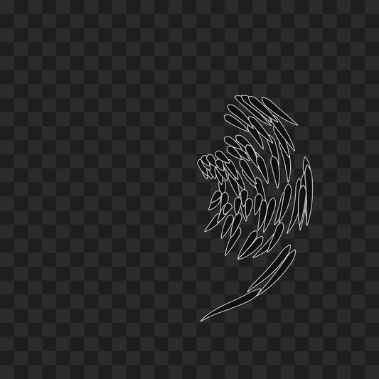 Feather flap wing asset pack / 8 loops