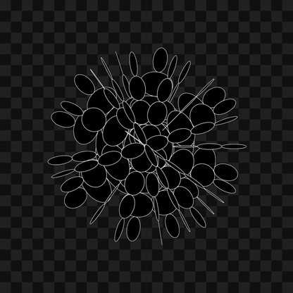 Organic spinner wheel asset pack / 19 loops