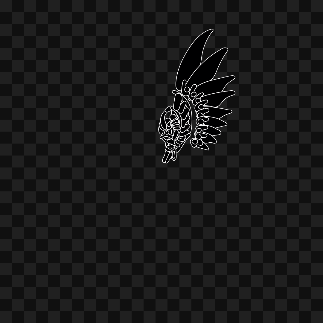 Aqua flap wing asset pack / 10 loops