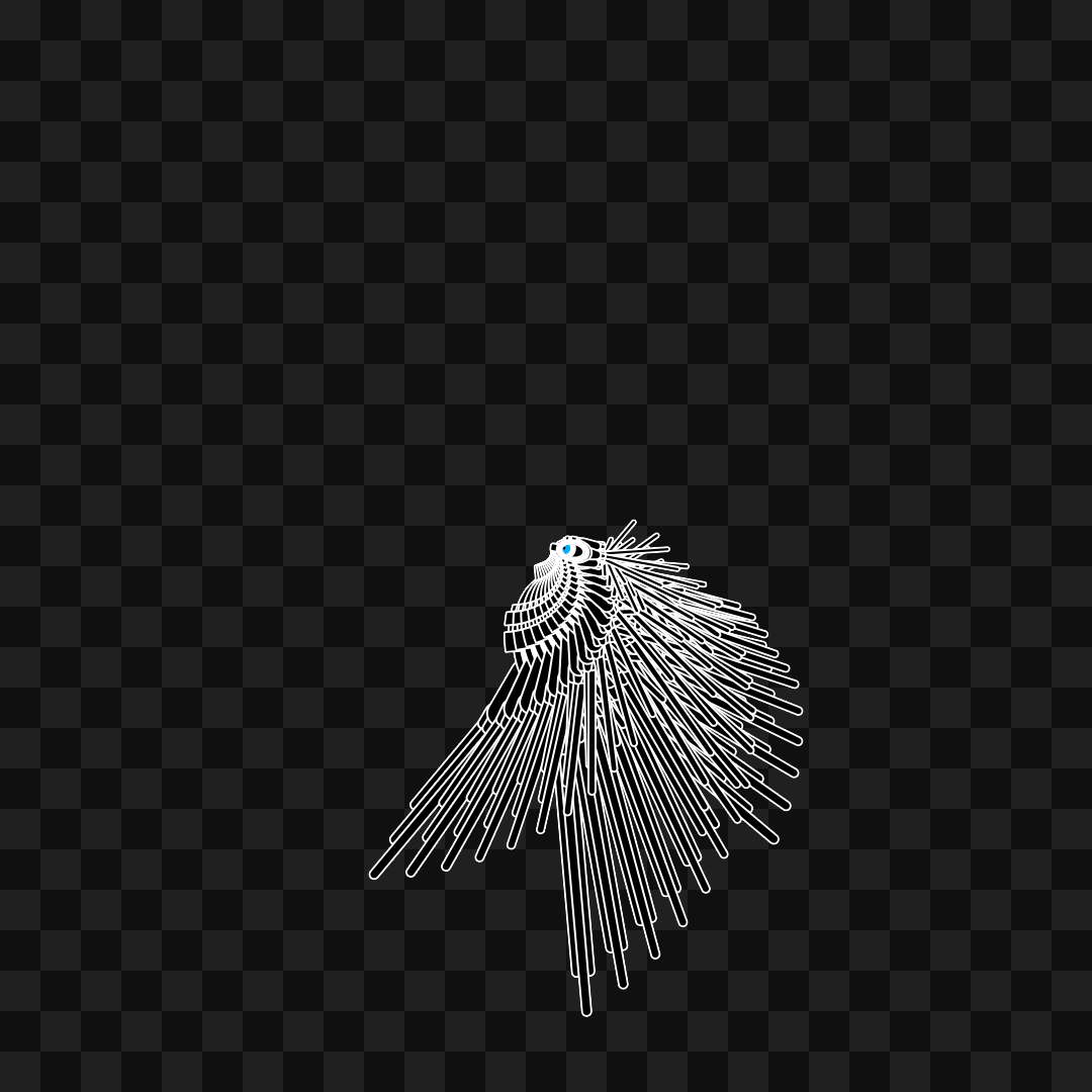 Aqua flap wing asset pack / 10 loops