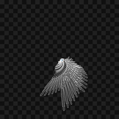 Aqua flap wing asset pack / 10 loops