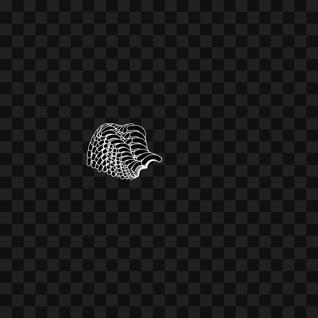 Bar flap wing asset pack / 10 loops